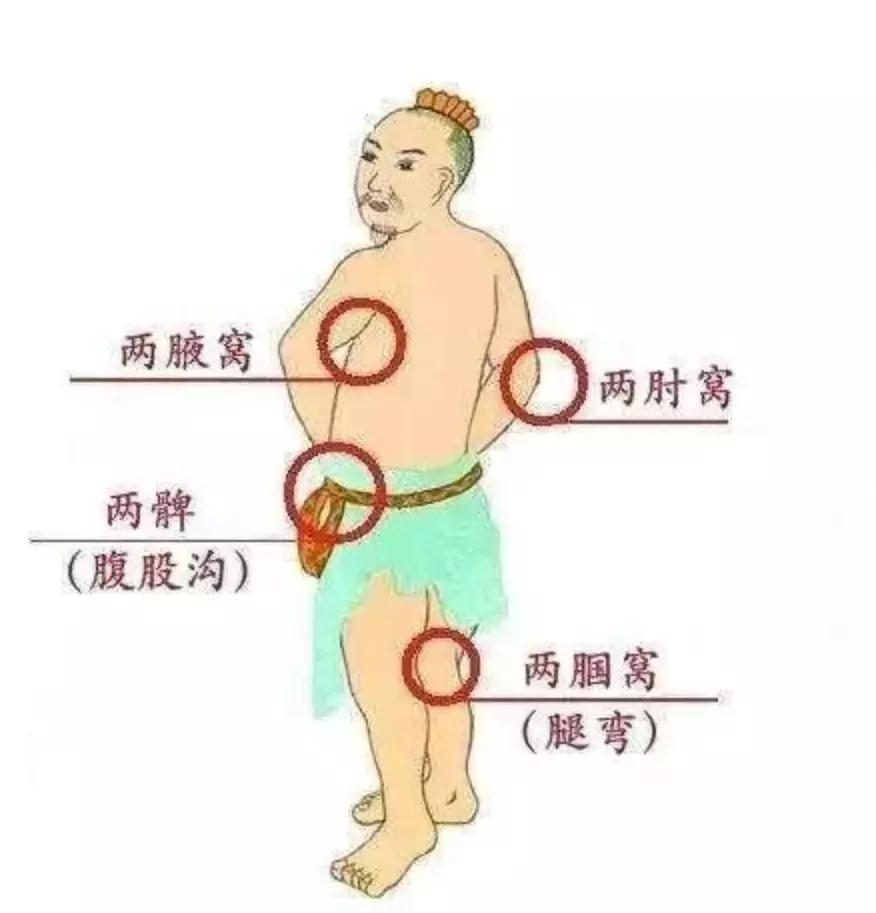 春季養(yǎng)生排毒話術(shù)_春天怎么養(yǎng)生排毒_春季養(yǎng)生排毒的重要性
