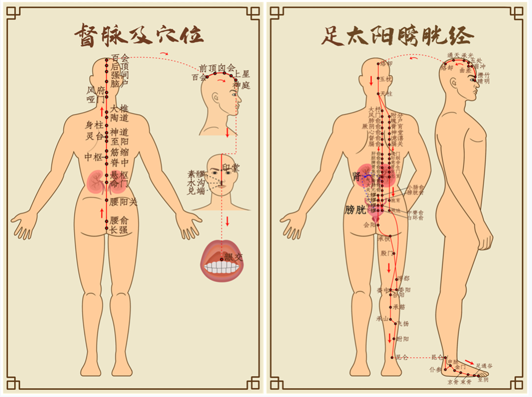 如何養生防止衰老_養生抗衰老指南_養生的概念與衰老機制